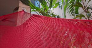 20240210 141743 Scaled E1758316955328 300x159